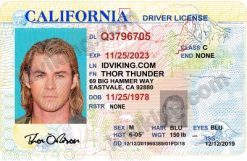 California OLD (CA) Drivers License- Scannable Fake ID